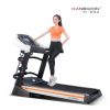 Máy Chạy Bộ Tech Fitness Tf 23 Pro.1