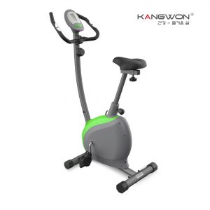 Xe đap Tap The Duc B 234